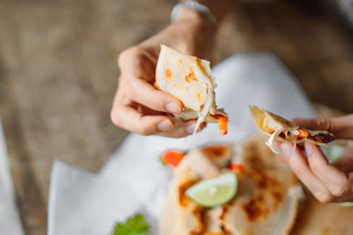 Person Holding Tortilla Wrap 