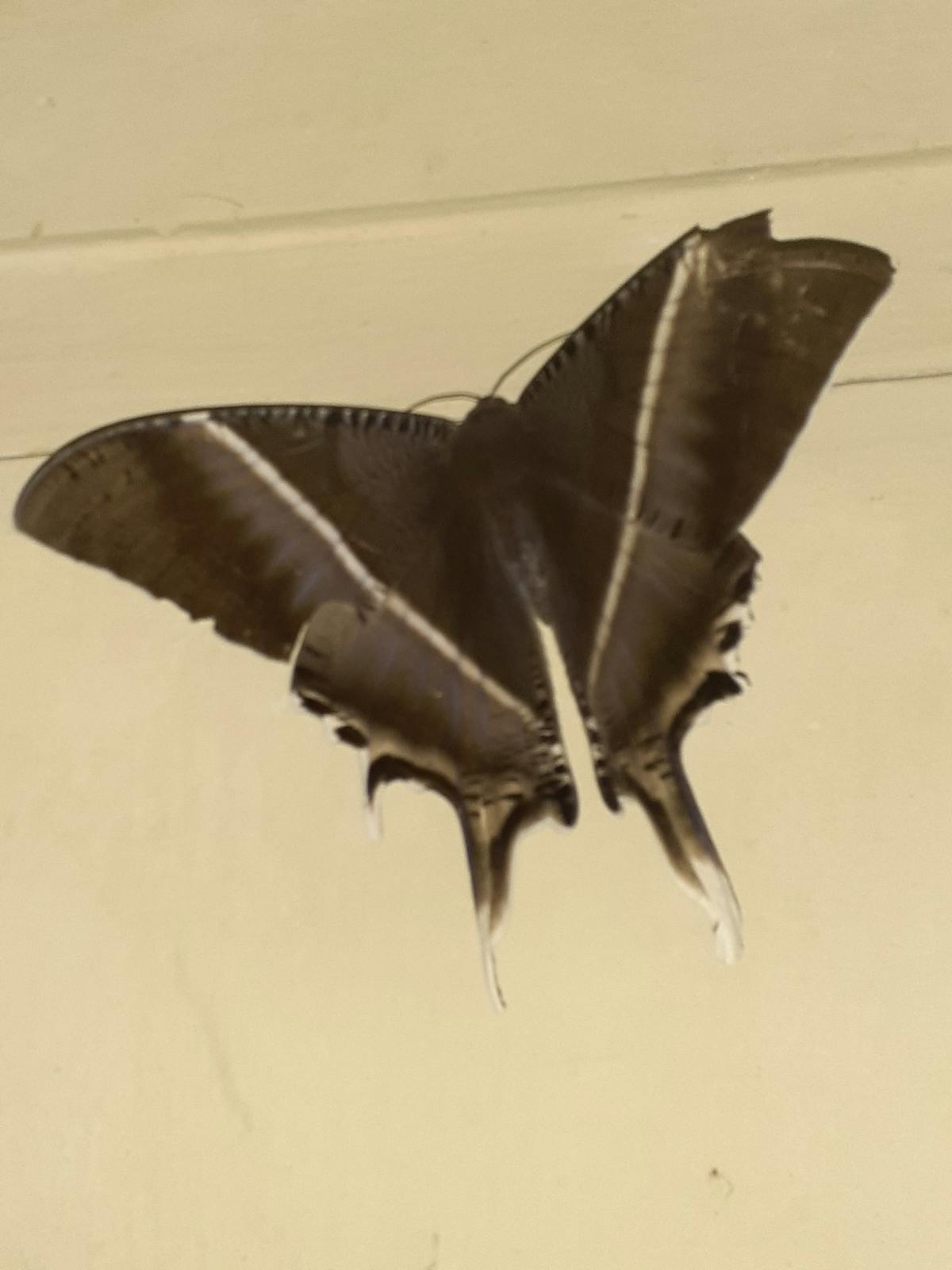 Hands arranging vegetables, cheese, and dips on a wooden board