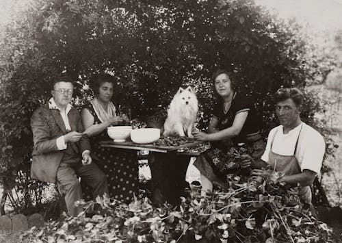 Group Of People With A Dog Sitting In The Garden