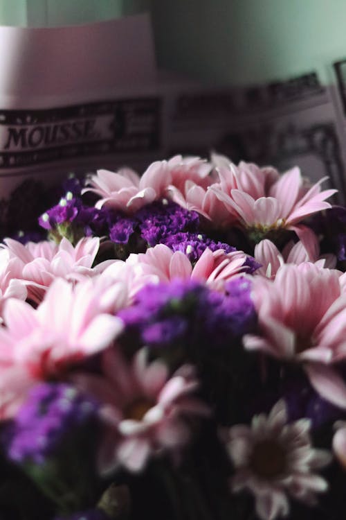 무료 꽃잎, 분홍색 꽃, 수직 쐈어의 무료 스톡 사진