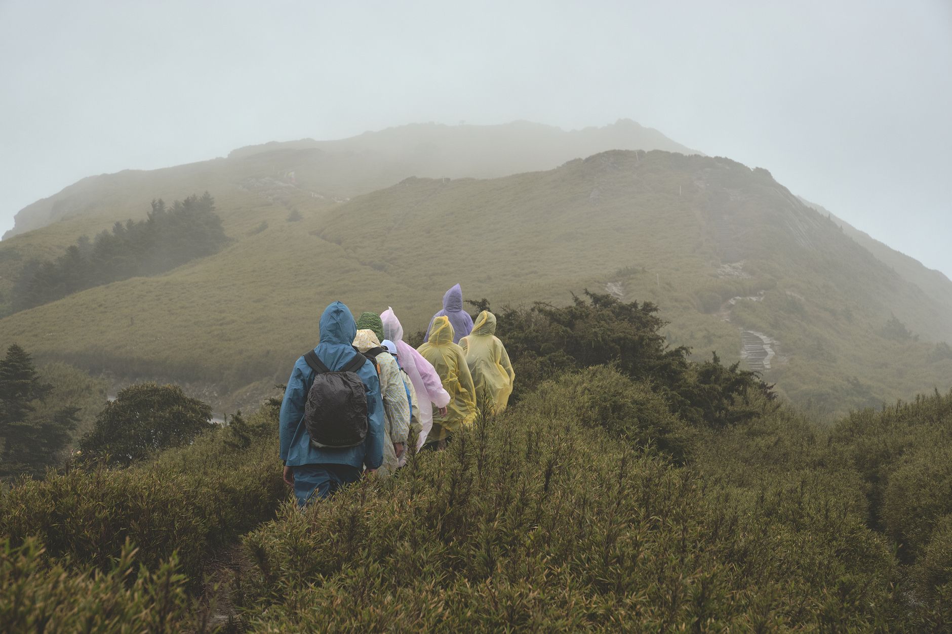 新北步道推薦:邊走邊吃九份金瓜石十分平溪一日遊 A group of hikers in colorful raincoats trekking through Taiwan's misty mountains, surrounded by lush greenery.