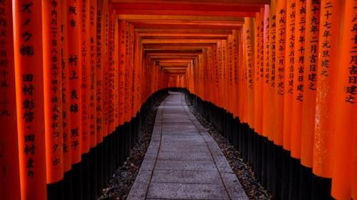 Senbon Torii in Kyoto Japan 