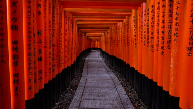 fushimi inari gates