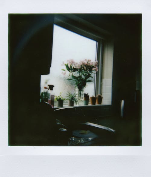 Gratuit Imagine de stoc gratuită din fereastră de sticlă, flori, fotografiere verticală Fotografie de stoc