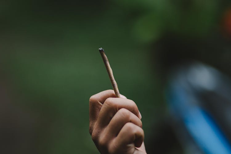 Close-Up Shot Of A Hand Holding Cigarillo