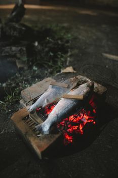 Delicious freshly caught fish being cooked on an outdoor brick grill over glowing red embers.