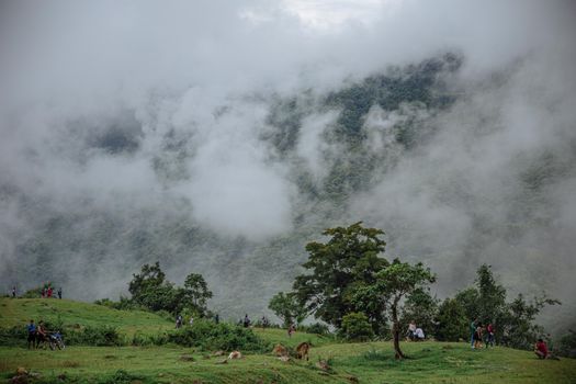 Foggy mountain scene with lush greenery and scattered people enjoying the outdoors.