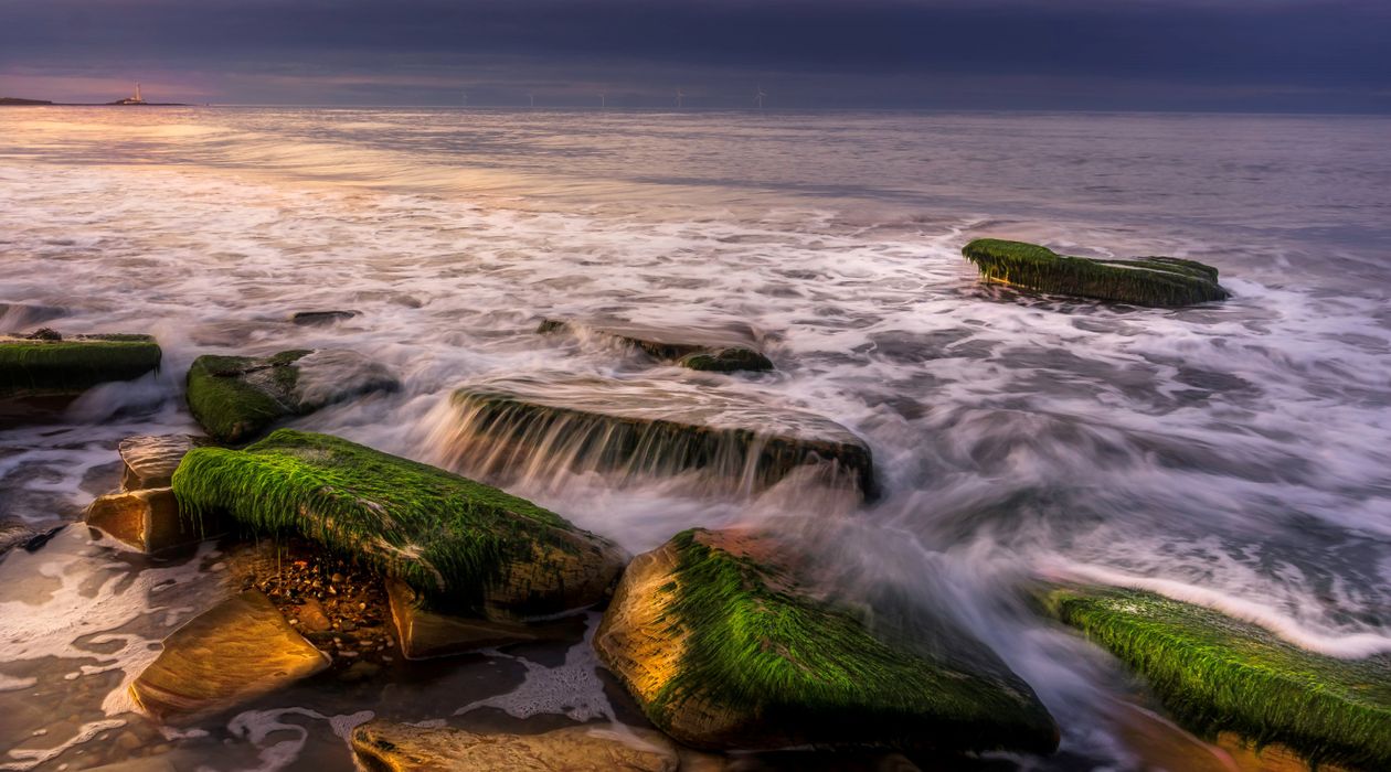 Green Water Off Rocks Green Moss on Rocks in Water · Free Stock Photo