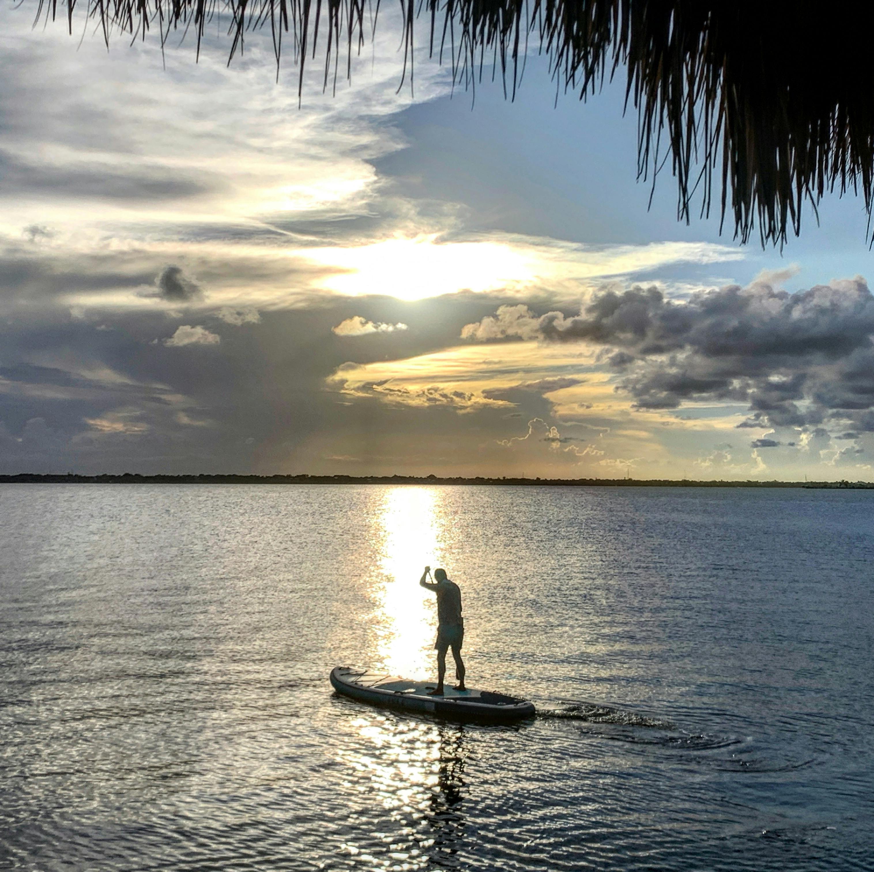 Nvidia Stock Forecast 2026 After Earnings: Veteran Analyst's Warning