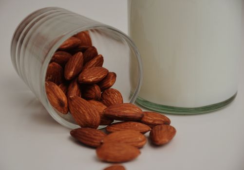 Lightly Sweetened Vanilla Lightly Sweetened Vanilla Organic Almondmilk Plant-based Protein 10g + Protein — kidney-friendly food
