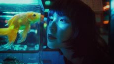 Animated Images