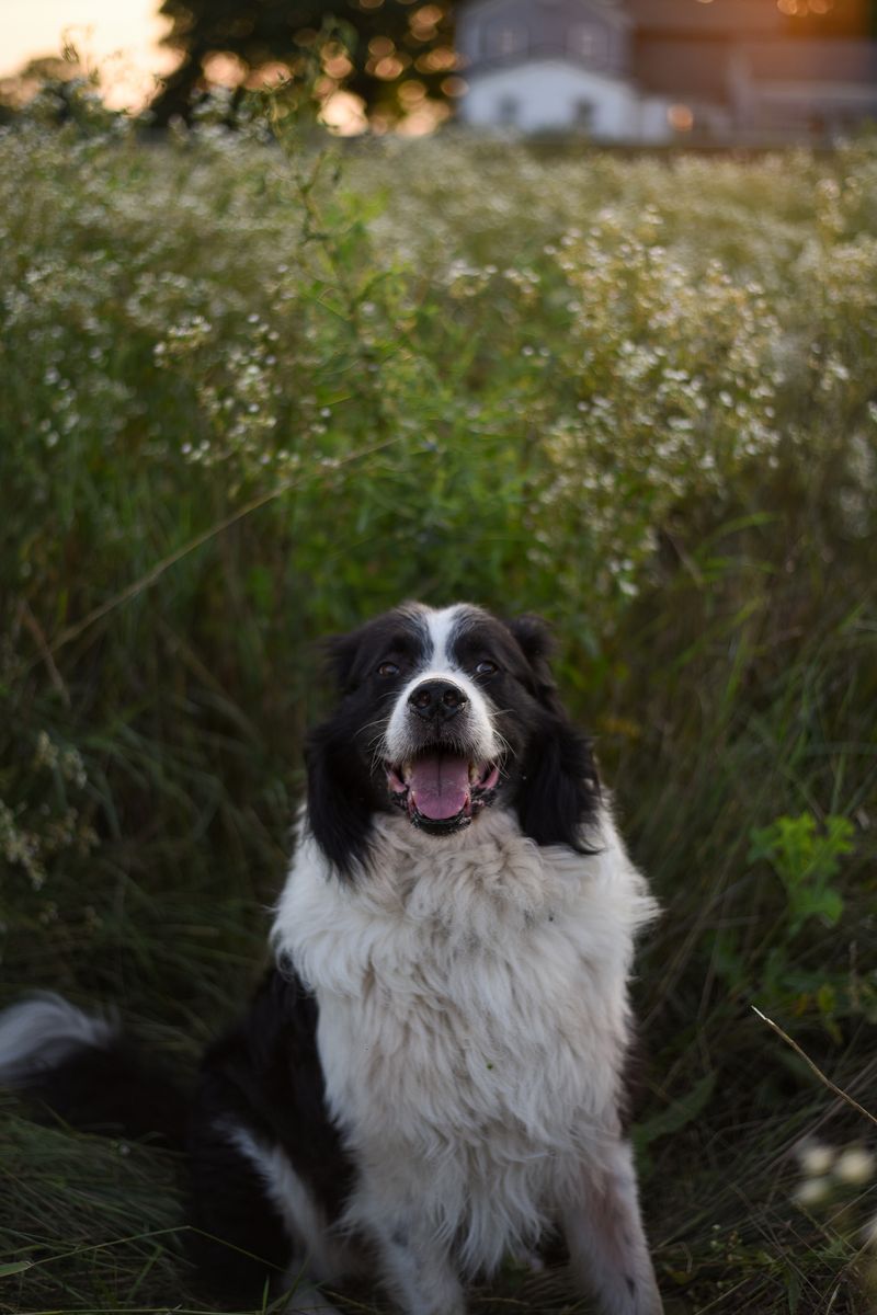 Rory - photo 1