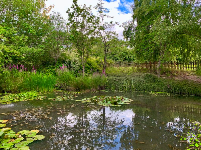 Regenerative Aquatic Spaces