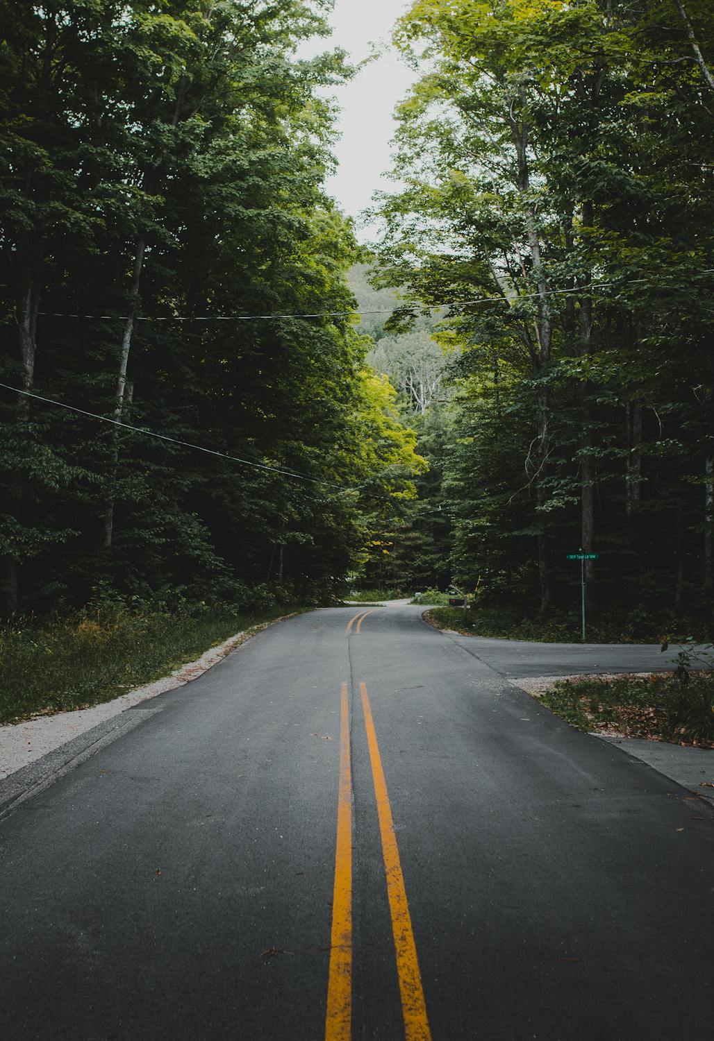 traverse city adventures - visit the tunnel of trees