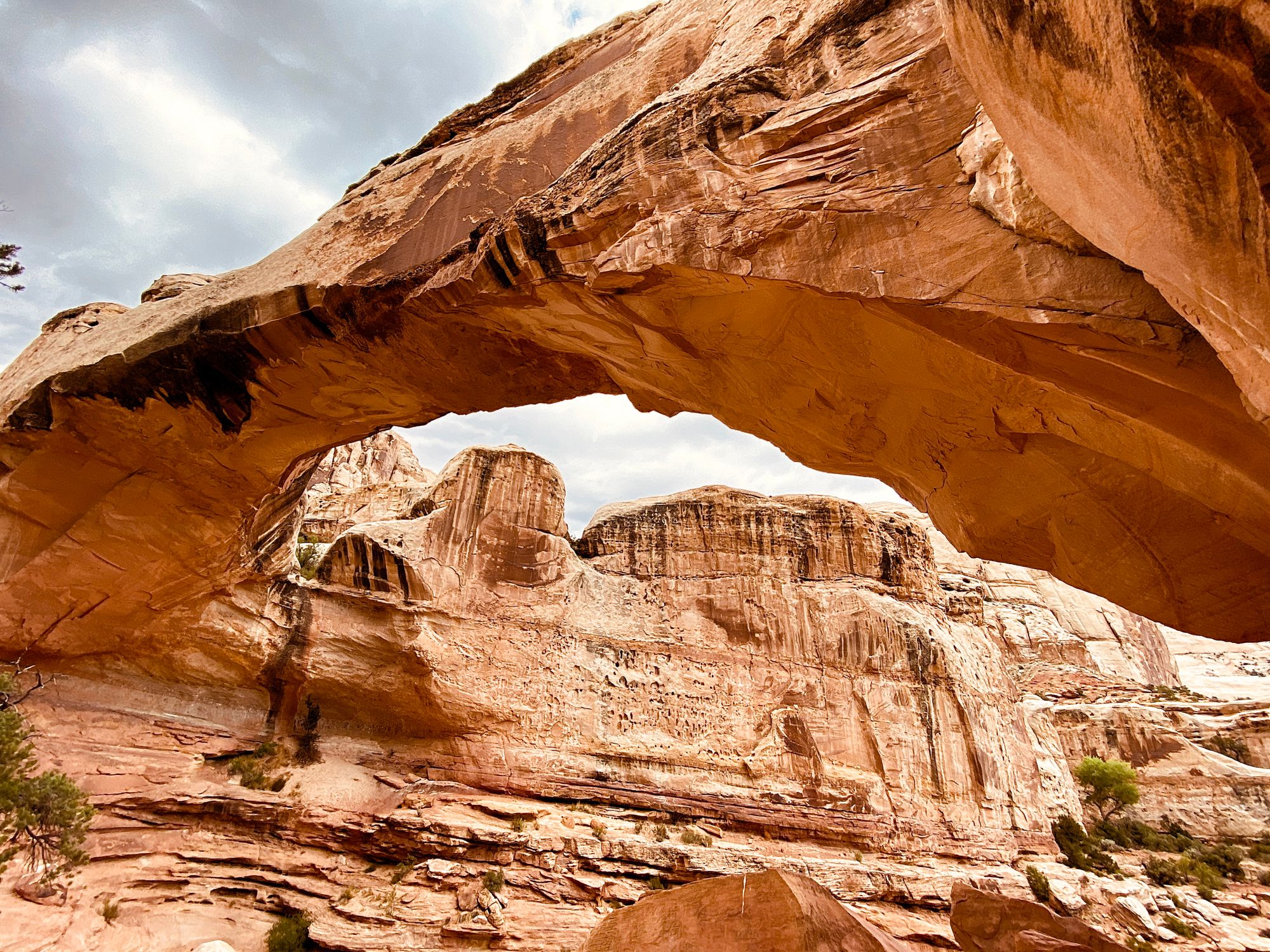 Explore the stunning sandstone arch in Torrey, Utah, showcasing nature's artistry.