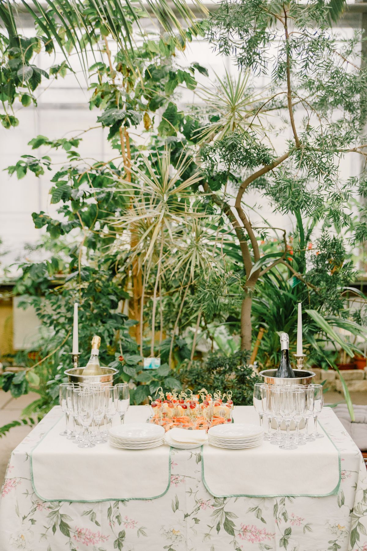 A table with drinks and appetizers at a garden party