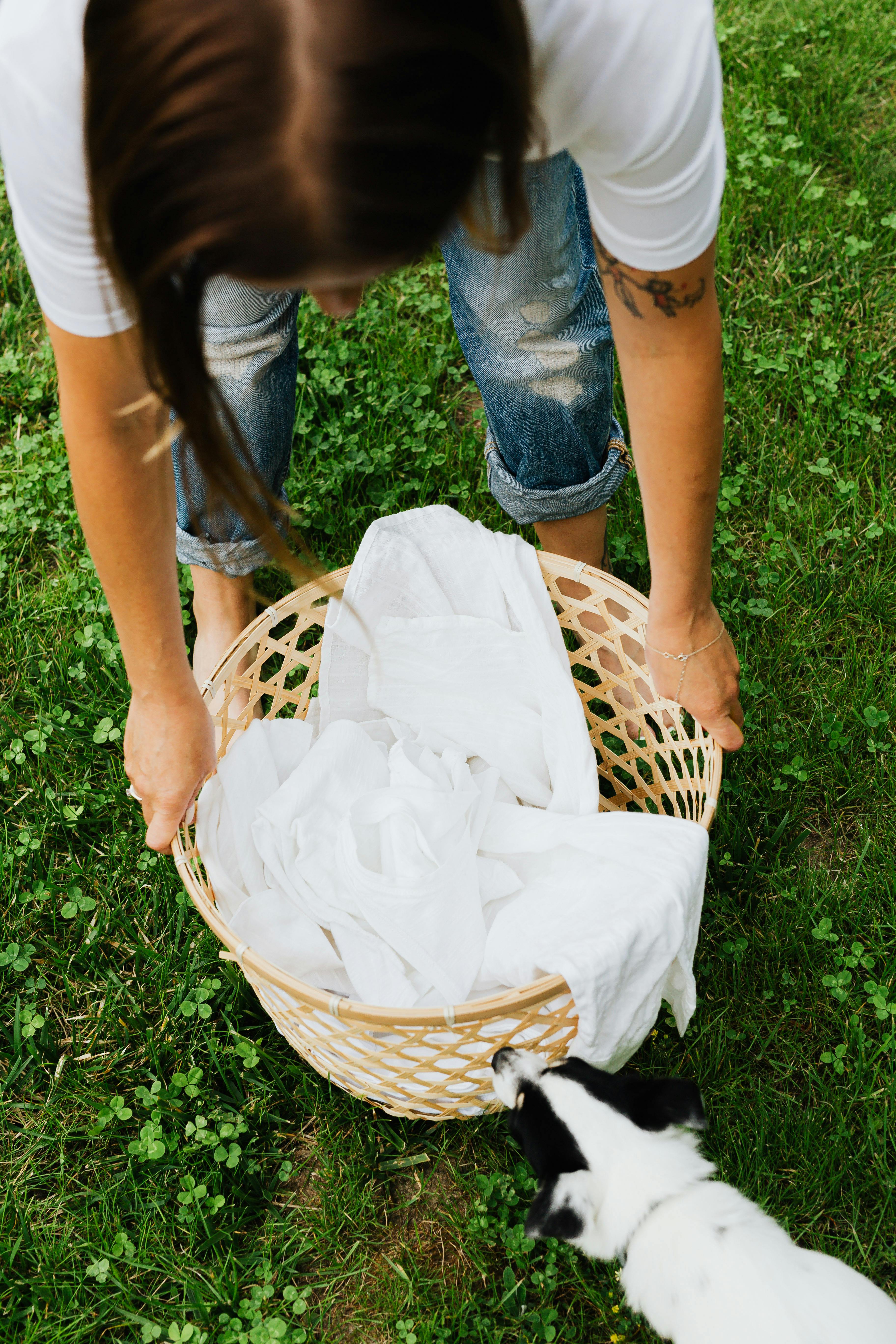 草地上，一名妇女拿着编织的洗衣篮，旁边有只狗