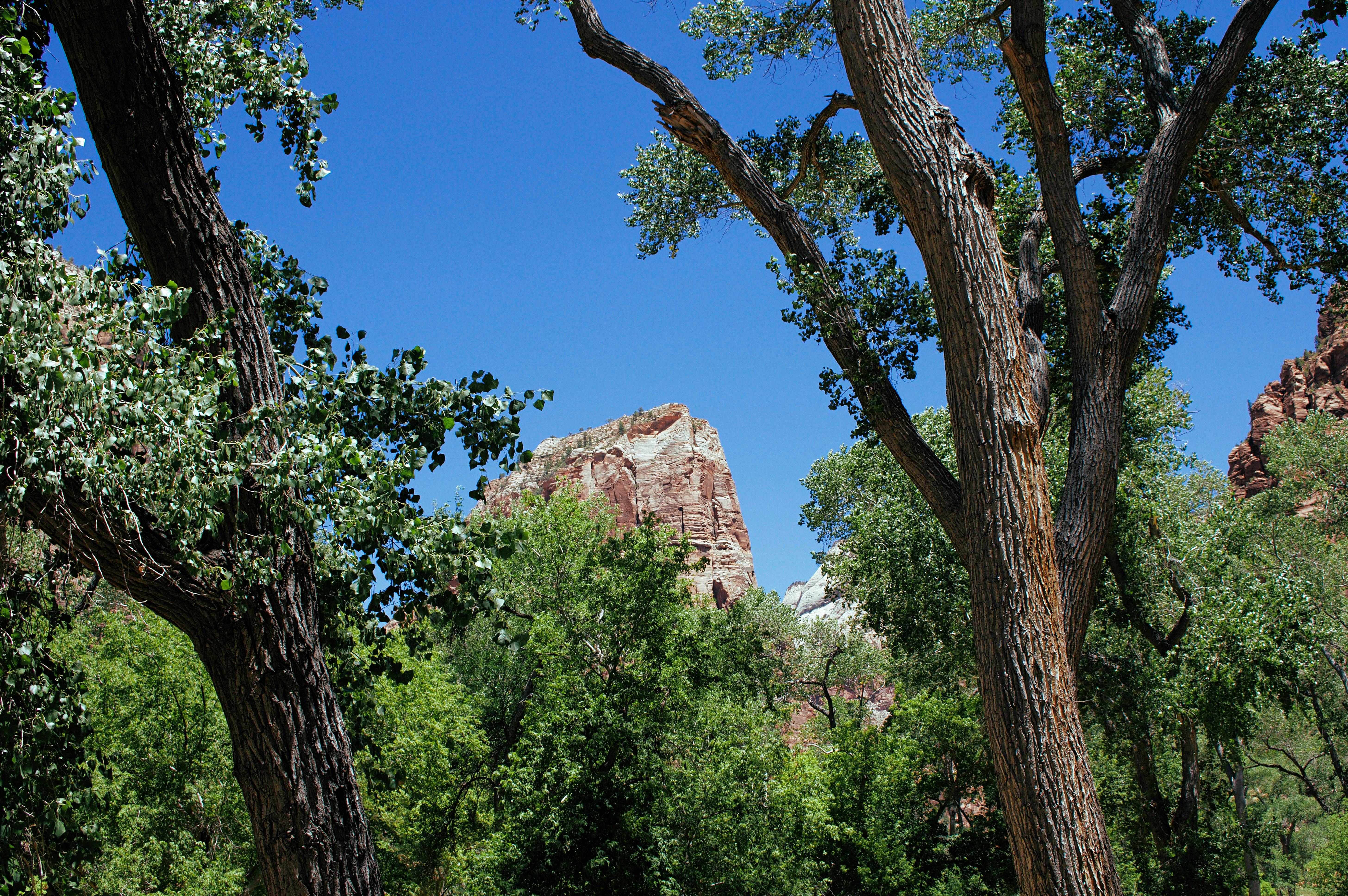 Scenic view of a U.S. National Park with dramatic rock formations and greenery