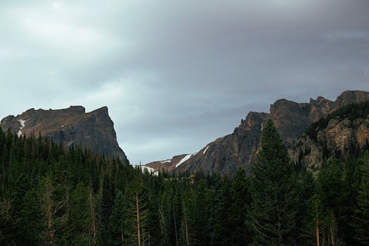 Scenic view of mountainous landscape and forest under a cloudy sky in Cody, Wyoming.