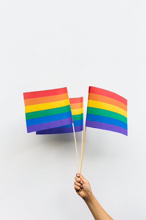 Fotos de stock gratuitas de bandera arcoiris, bastón de madera, colorido