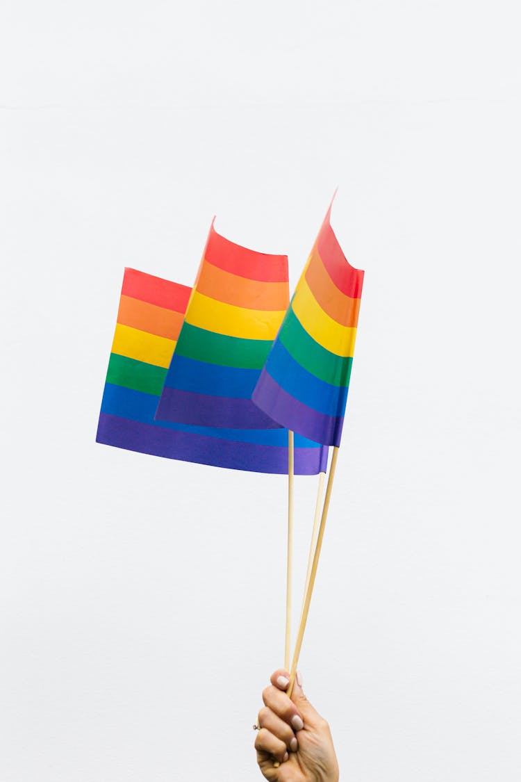 Close-Up Shot Of A Person Holding Rainbow Flags