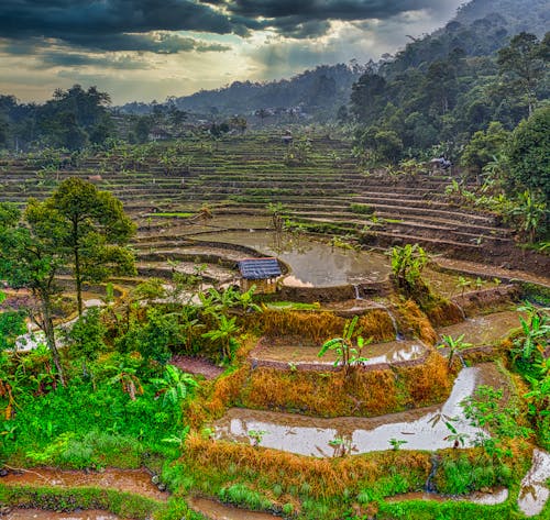 印尼, 地形, 山边 的 免费素材图片