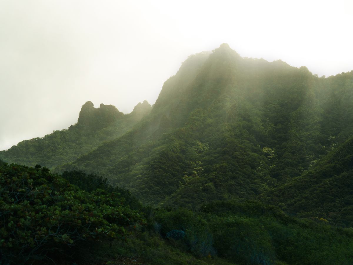 5 Day Luxury Ayurvedic Wellness Retreat in Oahu Hawaii, USA 1