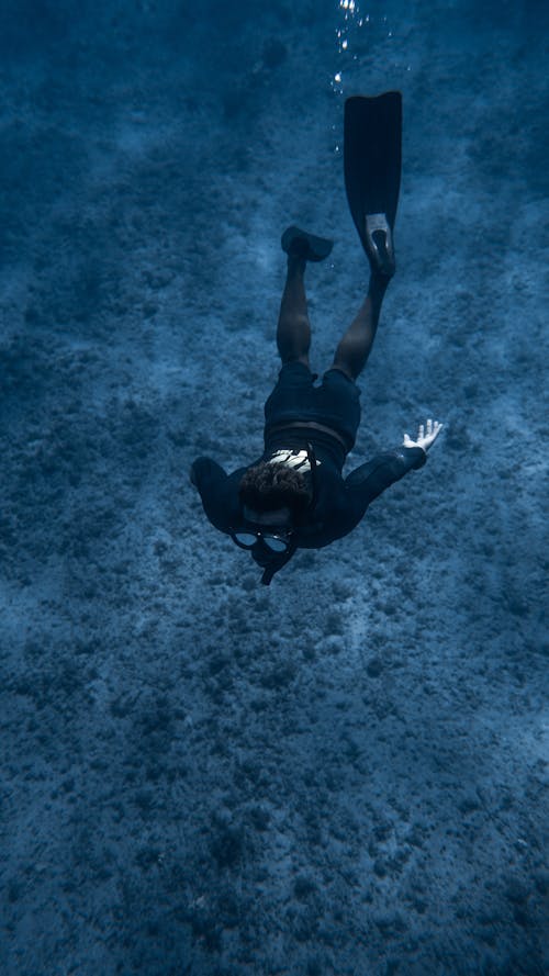 From below of unrecognizable diver in oxygen mask and flippers swimming underwater along bottom covered with vegetation in clear ocean