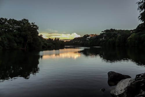 Free stock photo of austin, lake, nature