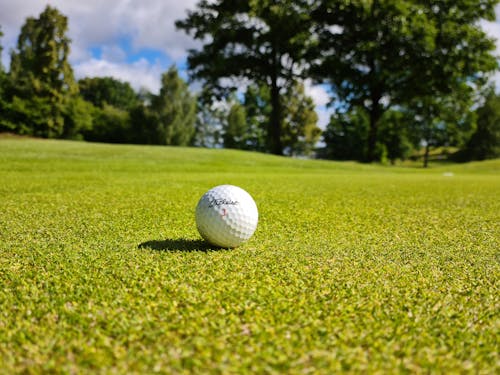 Ingyenes stockfotó fák, golf, Golflabda témában