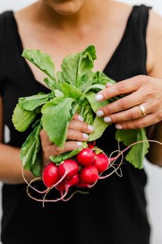 Hands holding a bunch of fresh radishes, showcasing vibrant green leaves and red roots.