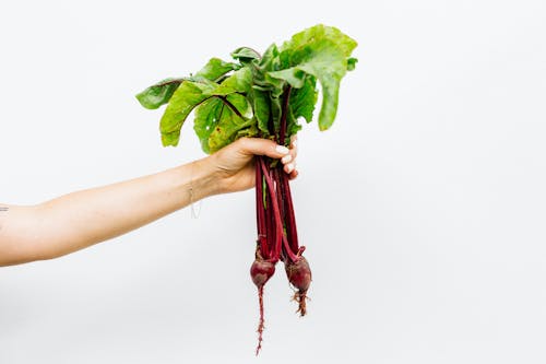 Person Holding Beetroot Plants