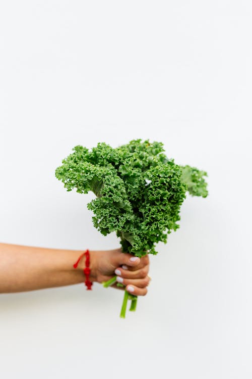 免费 垂直拍摄, 手, 新鮮蔬菜 的 免费素材图片 素材图片