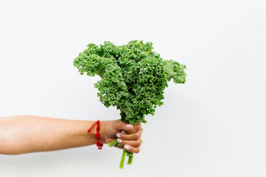 A hand holding fresh green kale with a white background, symbolizing health and nutrition.