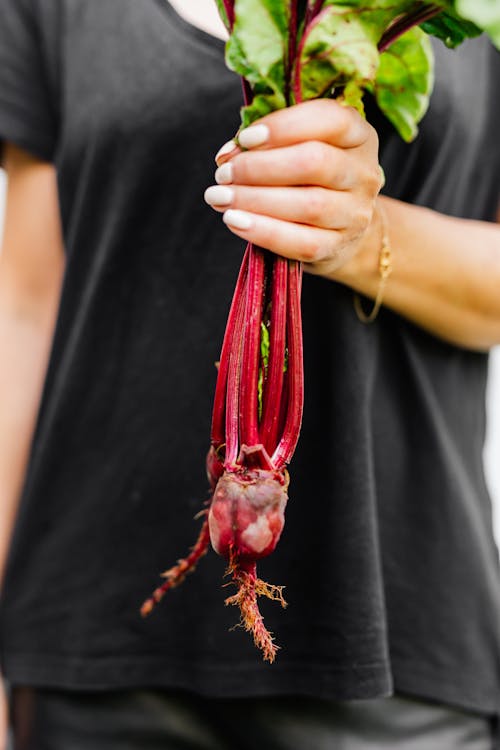 A Person in Black Shirt Holding Red and Green Plant