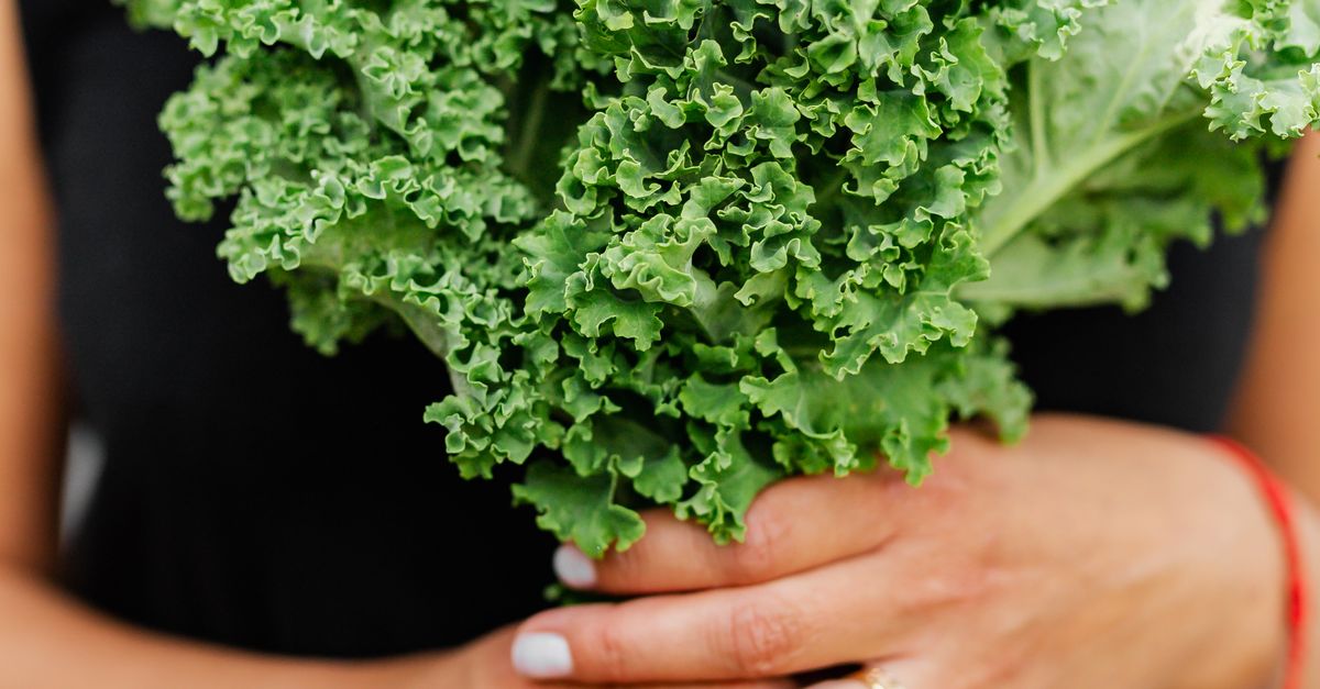 Close-up of woman holding fresh kale in her hands, a powerful anti-inflammatory food for endometriosis, against a white background.