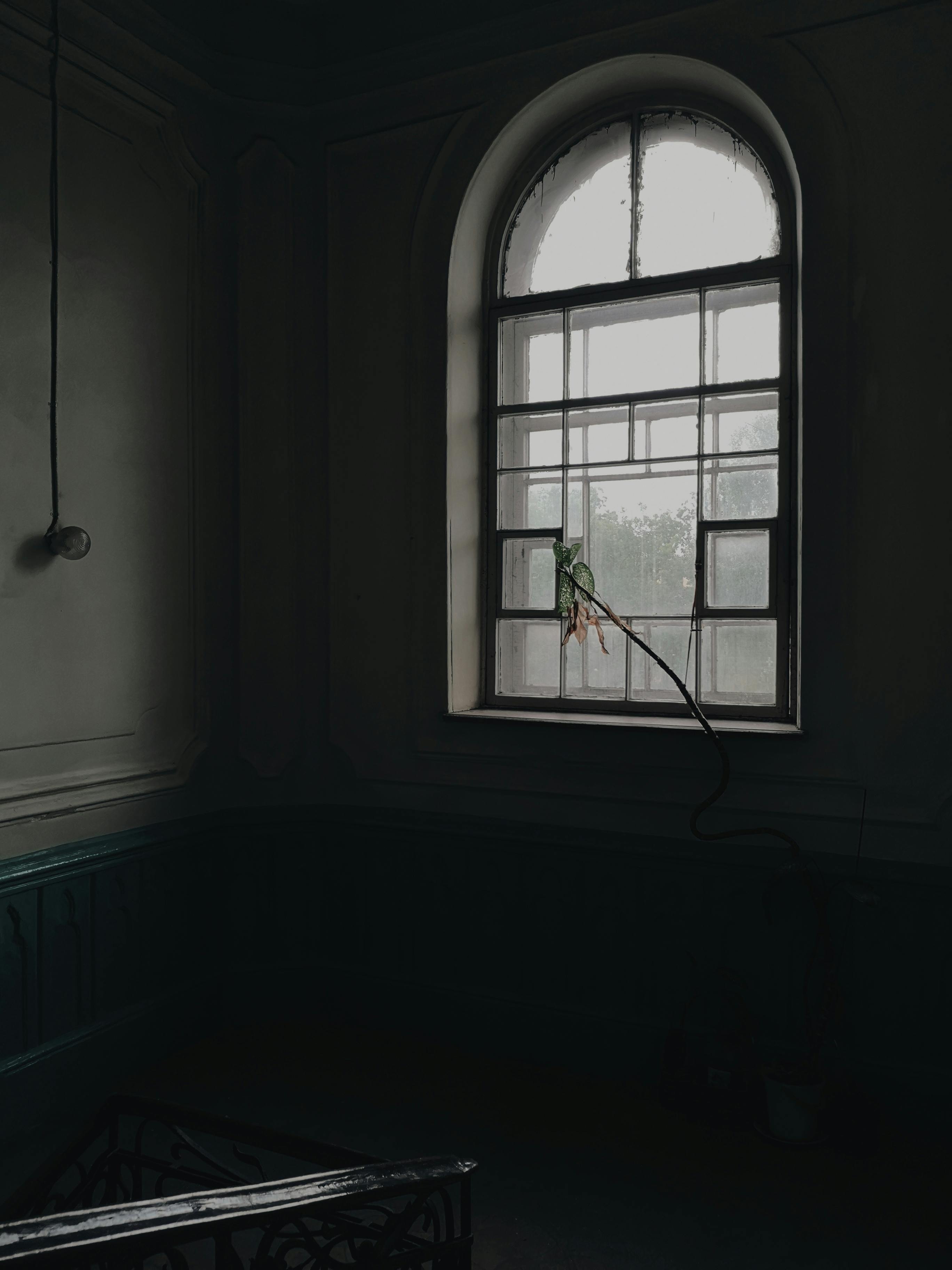 Gratuit Siluetă De Fereastră De Sticlă Fotografie de stoc