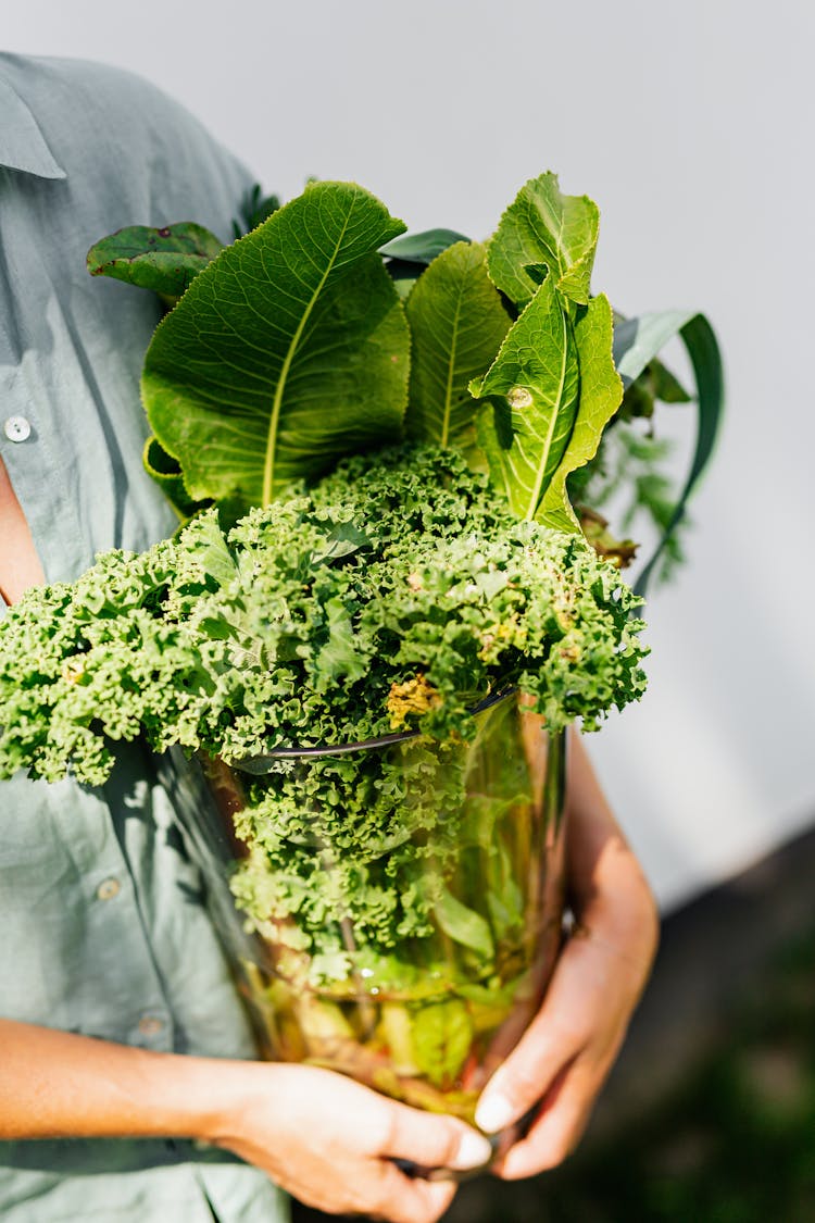 Unrecognizable Woman Hands Holding Transparent Glass Vase With Veg Leaves