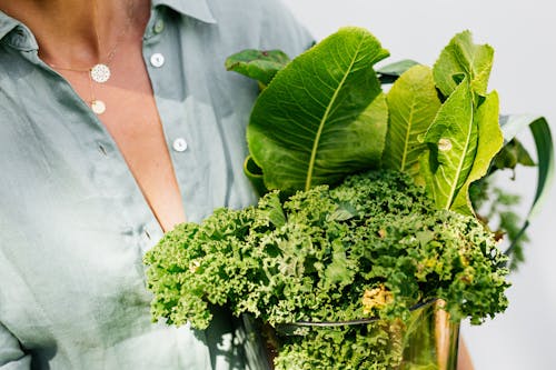 Free Close-up of fresh curly kale and leafy greens held by woman in green shirt. Stock Photo