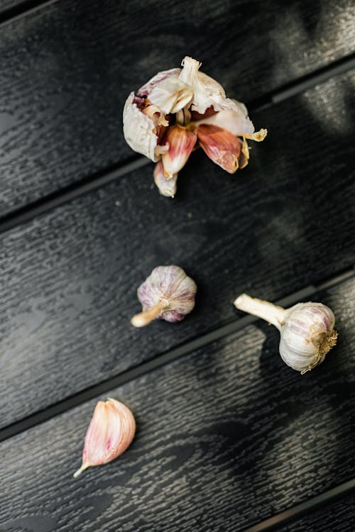 Still Life with Garlic