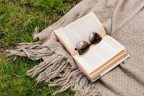 Free Sunglasses Lying on a Book and a Blanket Stock Photo