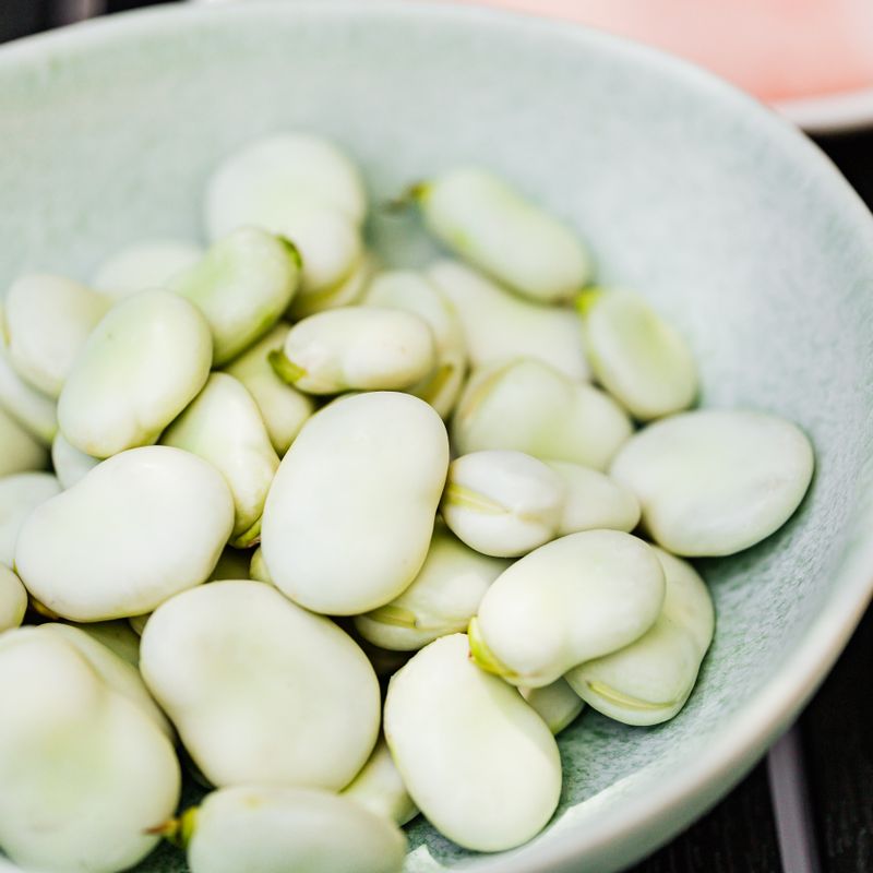 Fava Bean and Dill Dip
