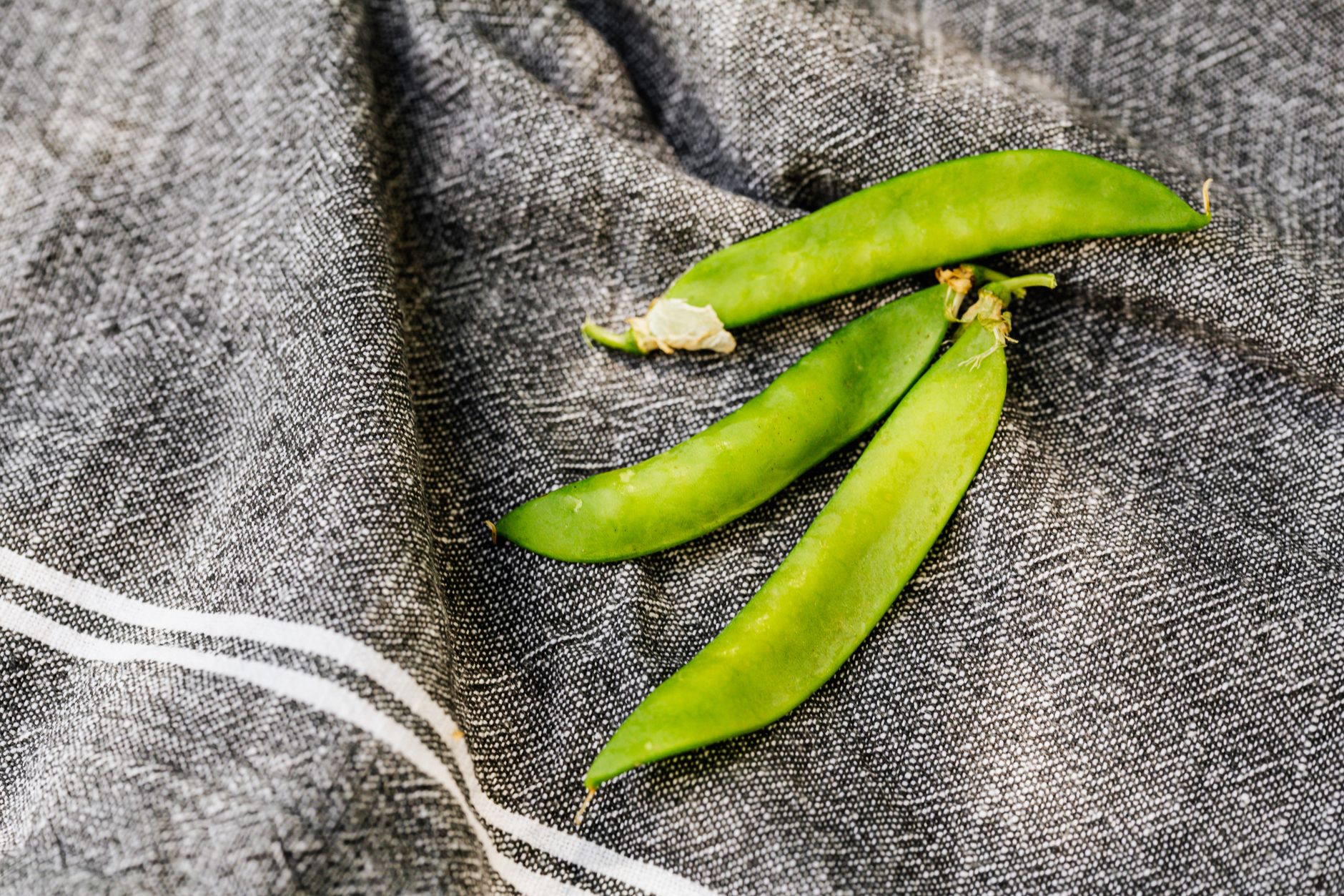 pea protein