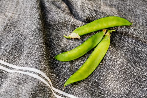 Free Close-up of vibrant green sugar snap peas resting on a dark textile background. Stock Photo
