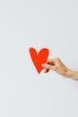 Person Holding Red Heart Paper