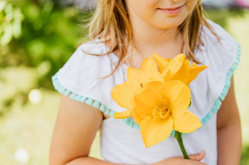 Kostnadsfri bild av blond tjej, grönt gräs, gula blommor