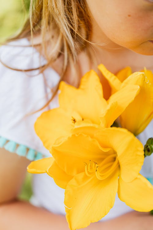 Kostnadsfri bild av blomning, blond tjej, gula blommor