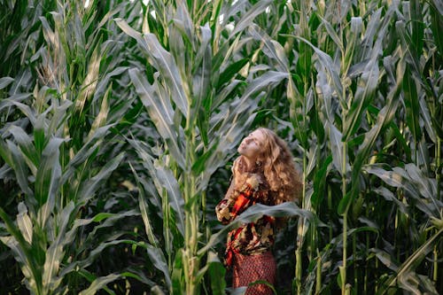 Woman in Corn Field