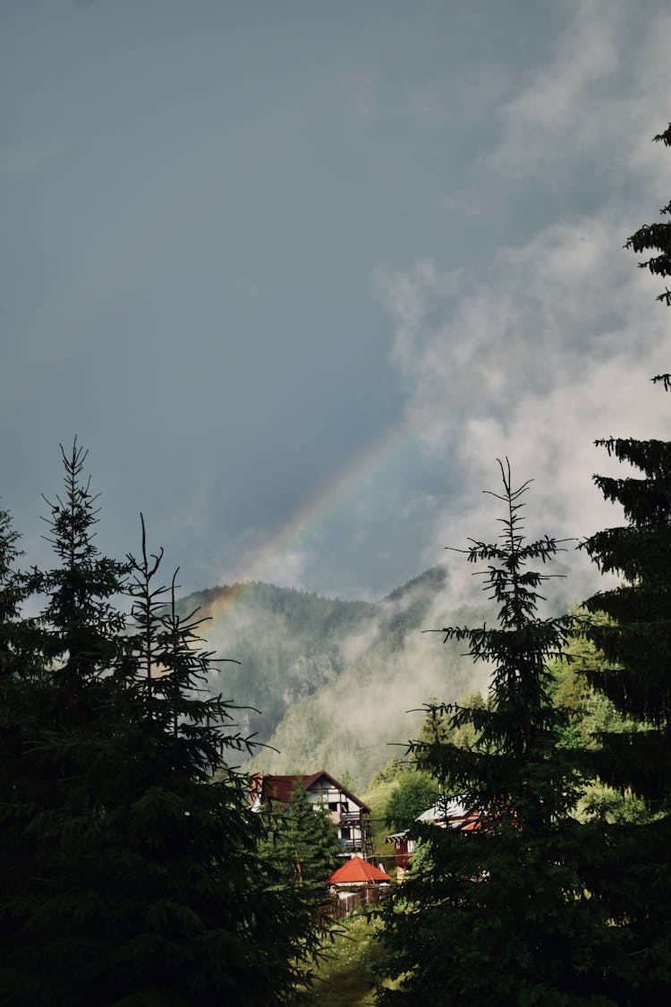 Rainbow After Rain In Countryside