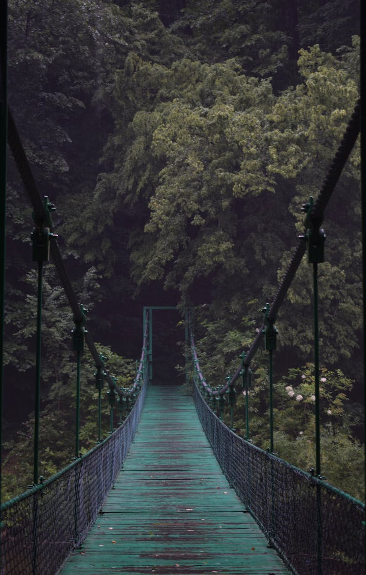 Old Suspension Bridge On Nature